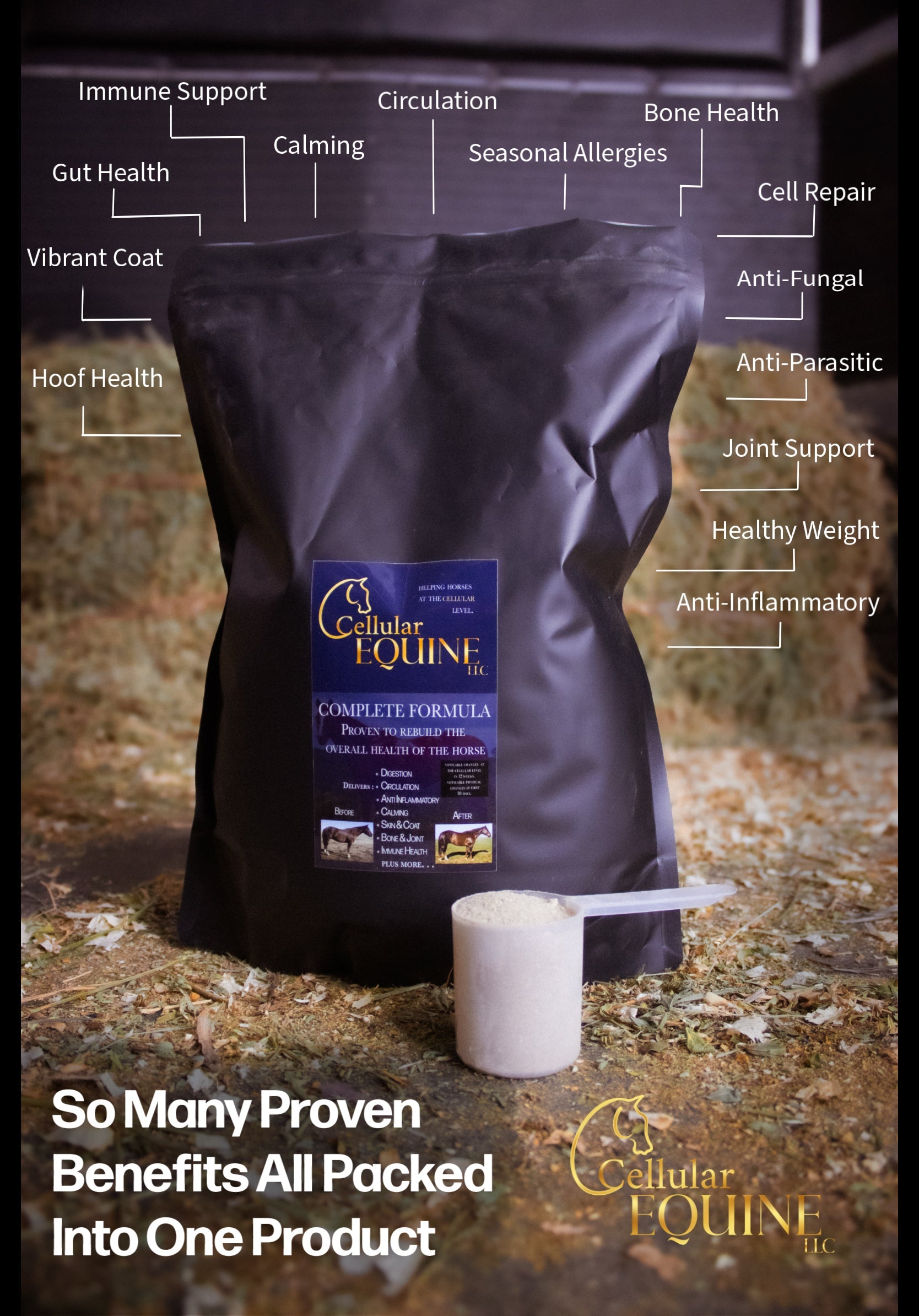 Learn about the Ingredients