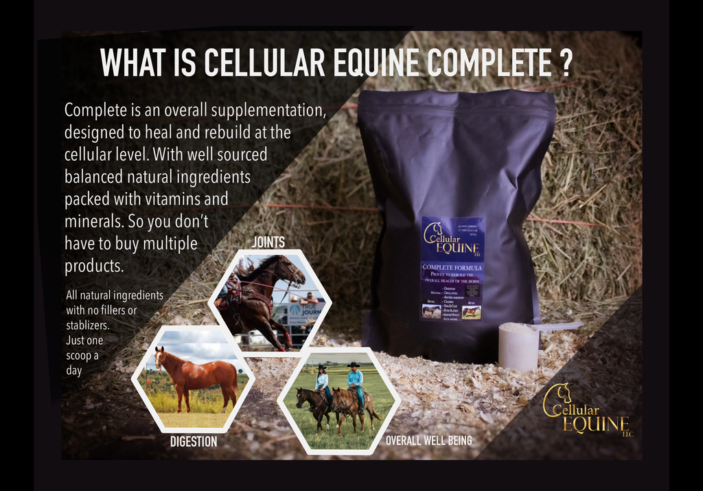 Complete Formula, ( without garlic )