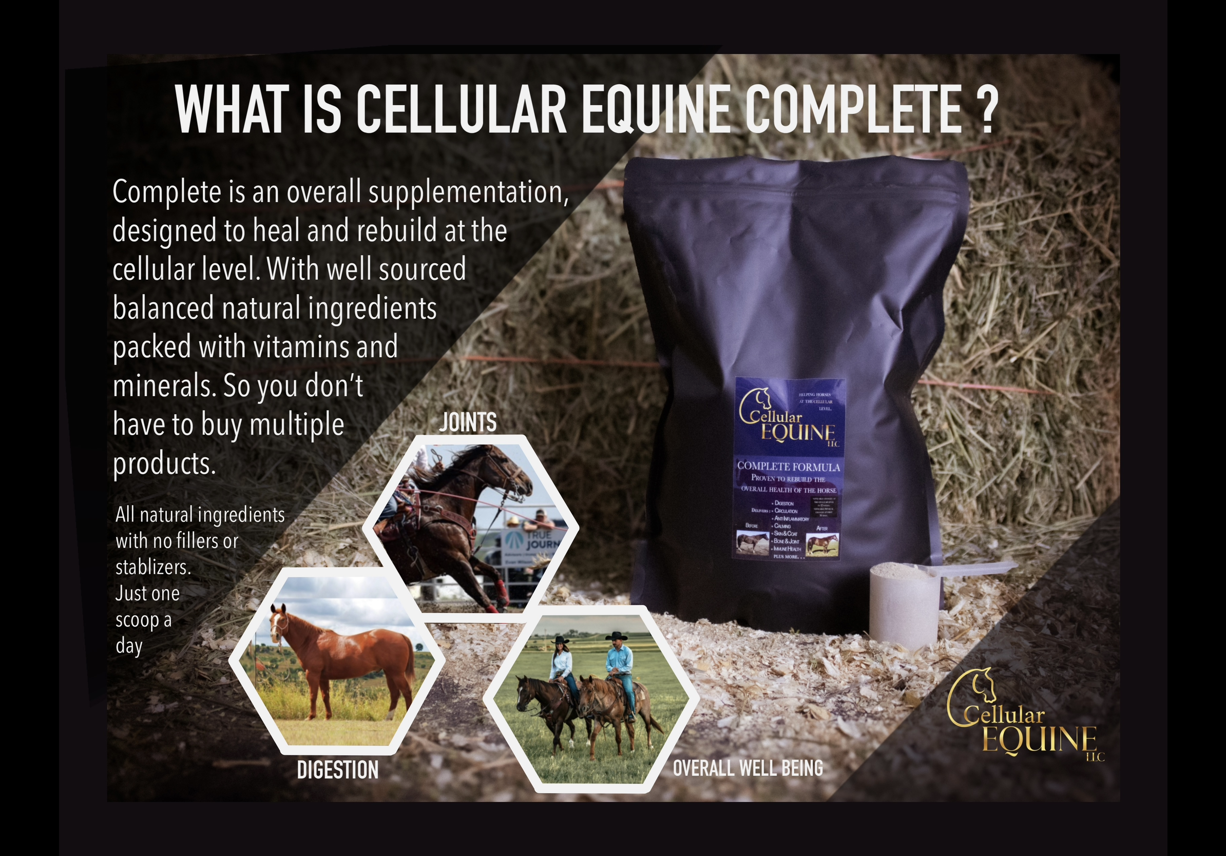 Complete Formula, ( without garlic )