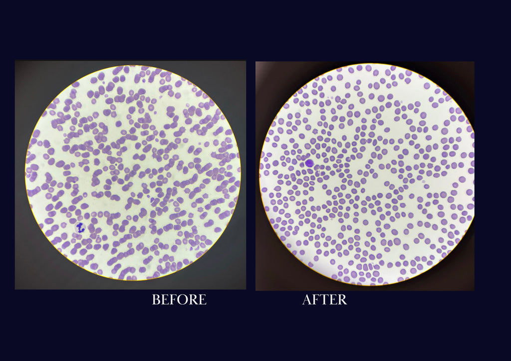 Complete Formula, ( without garlic )