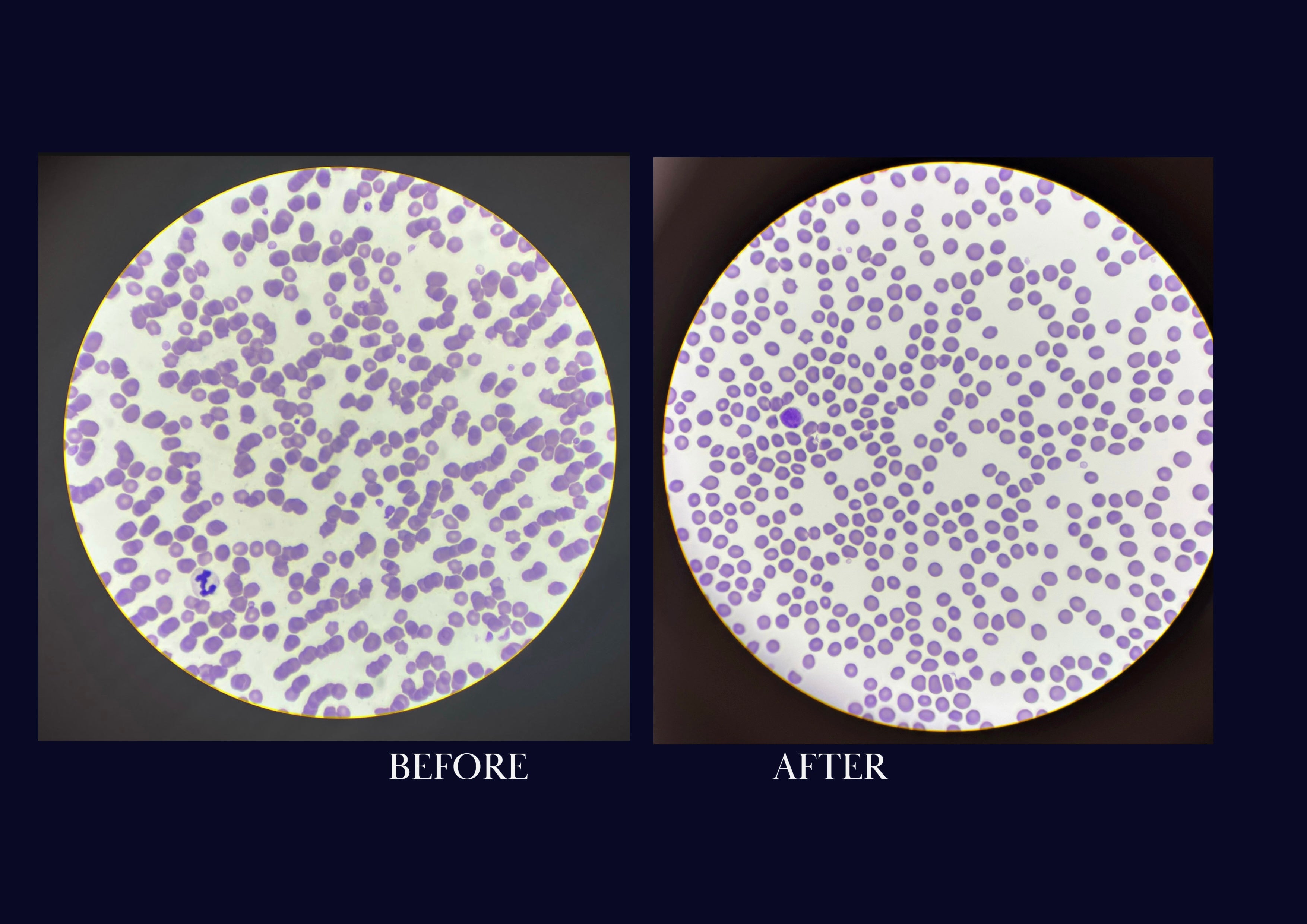 Complete Formula, ( without garlic )