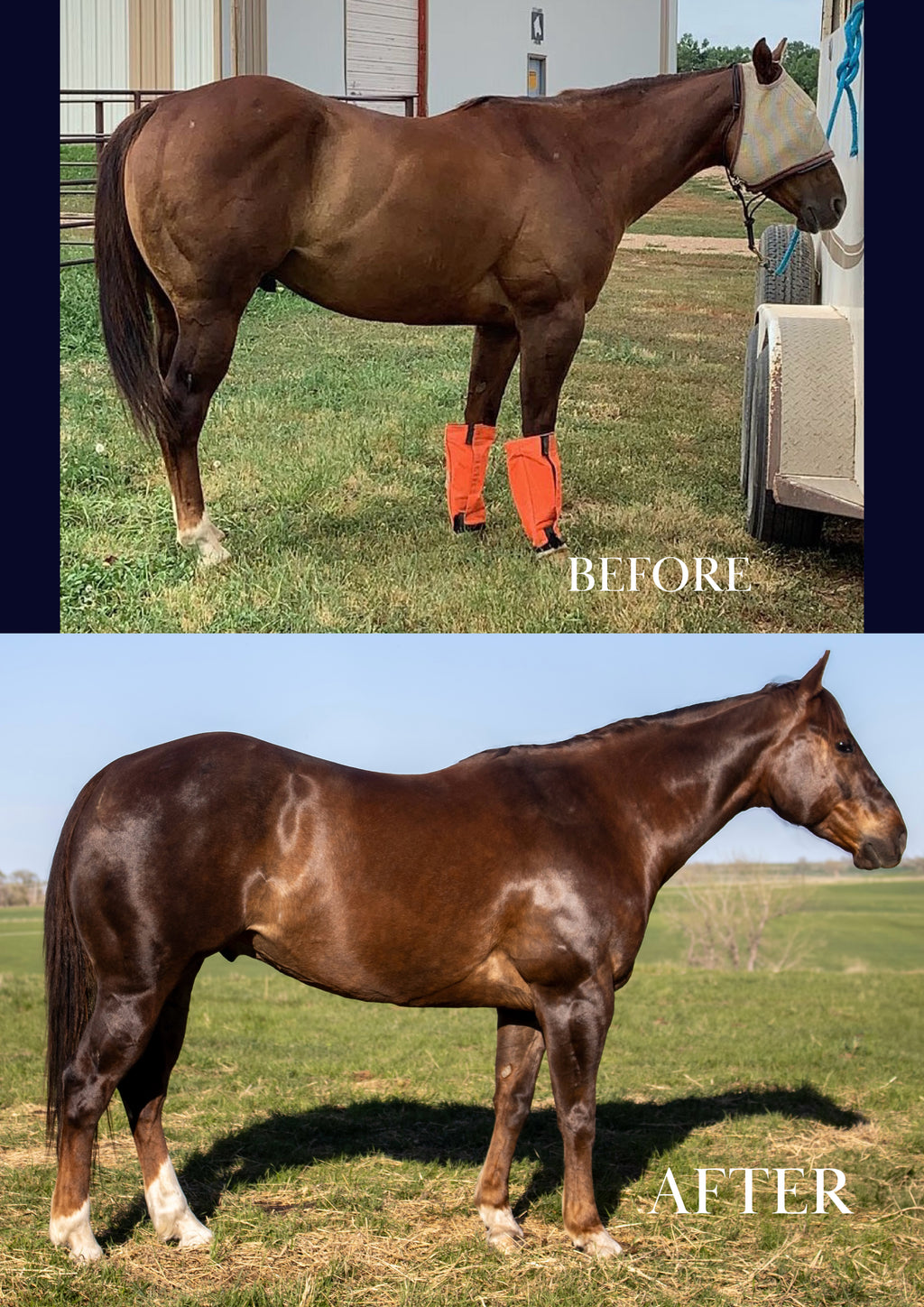 90 day Complete formula